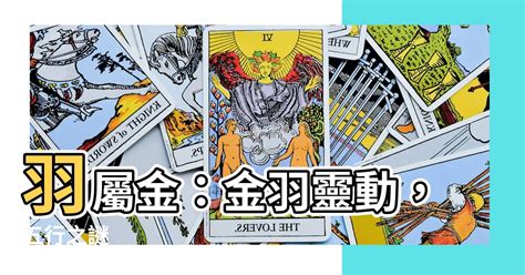 羽屬金|【羽屬金】羽屬金，揭開神秘「羽」字！瞭解羽字五行屬性及意義。